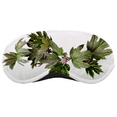 Leaves Plant Branch Nature Foliage Sleeping Masks