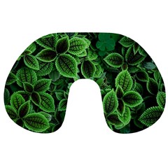 Shanghai Botanical Garden Travel Neck Pillow
