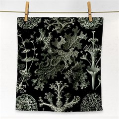 Weave Haeckel Lichenes Photobionten Face Towel